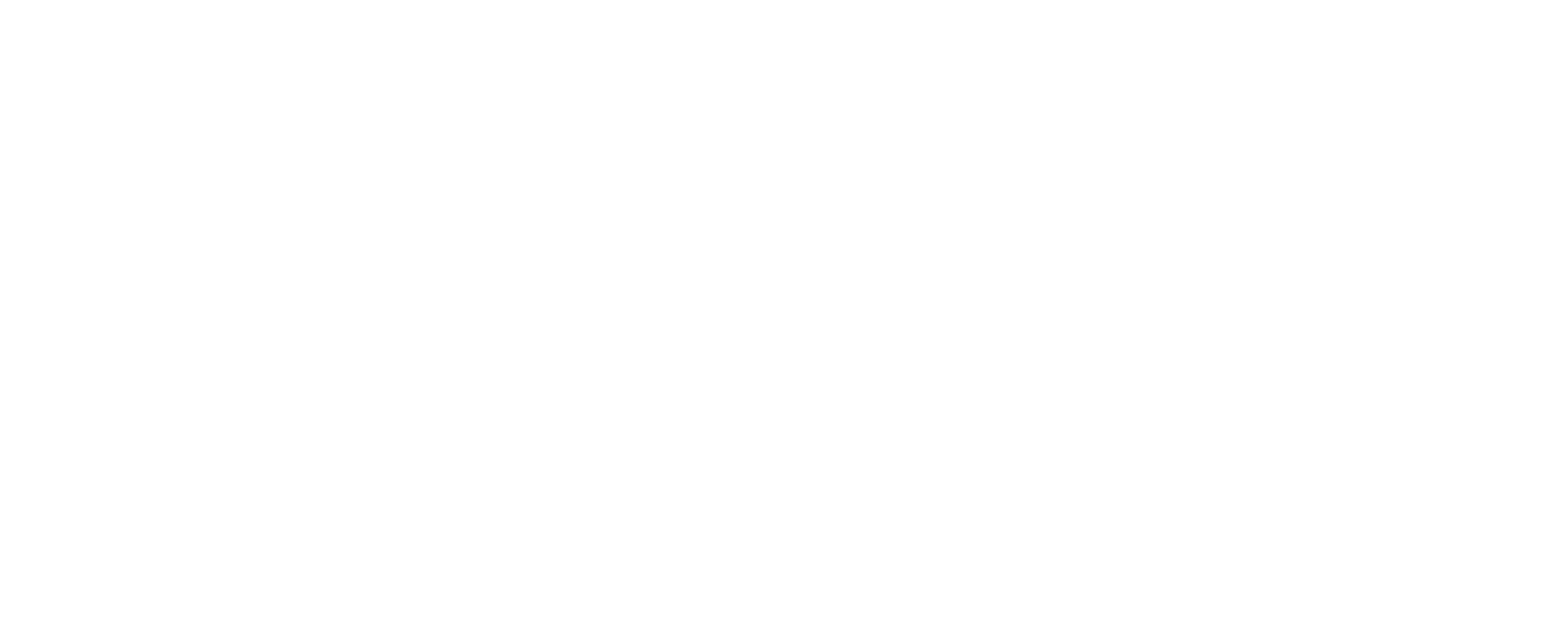 SKYN3T